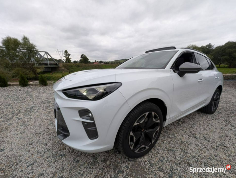 Cupra Terramar VZ 265 4x4 PanoramaNagłośnienie Kamienna Góra sprzedam
