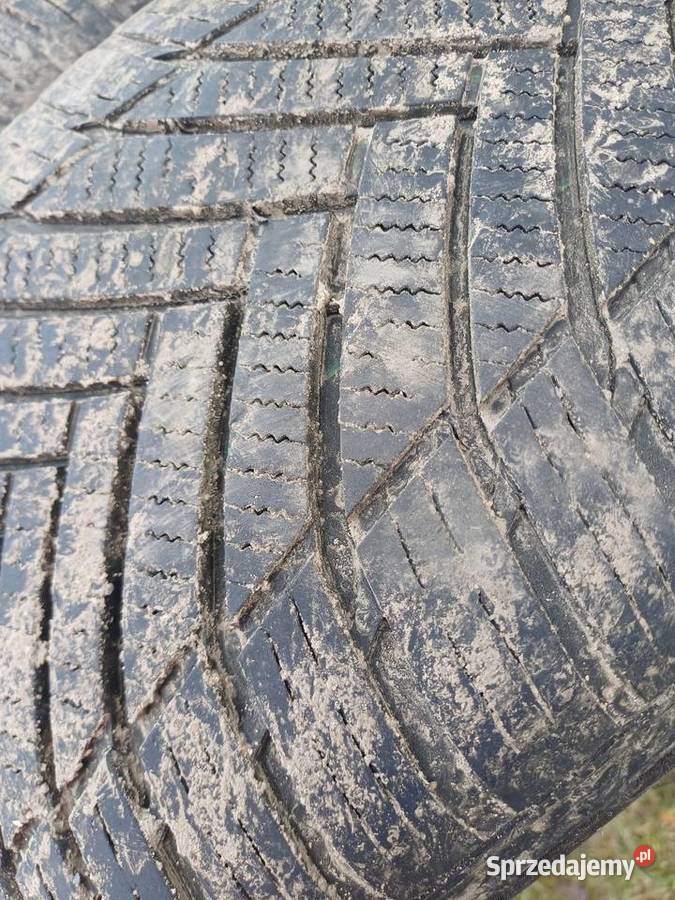 Opony wielosezonowe 2255516 wielkopolskie