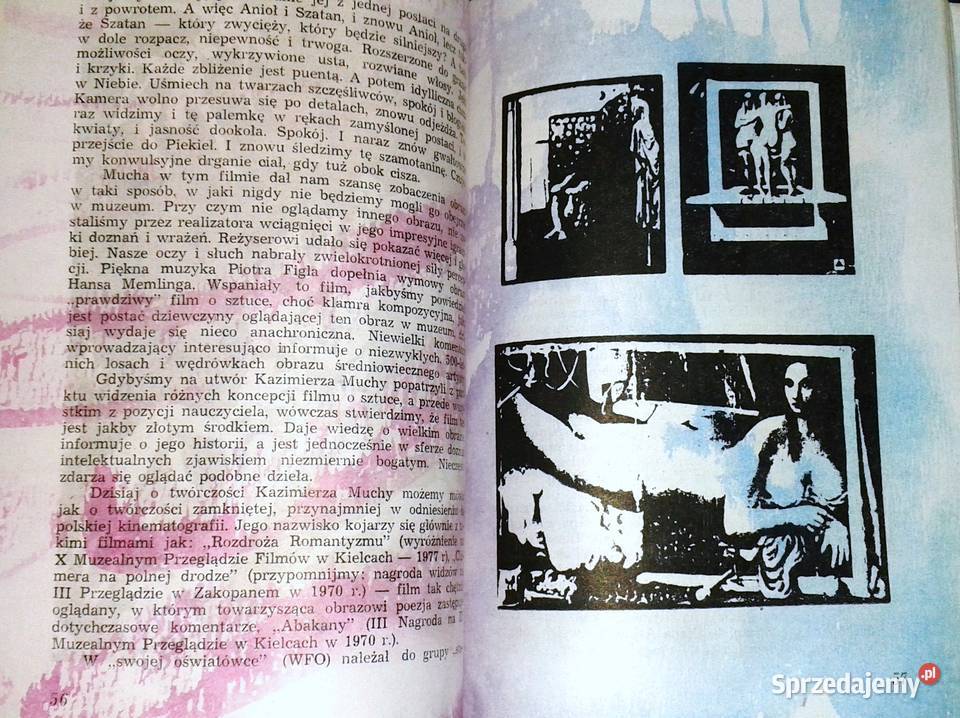 Przygody filmu ze sztuką Barbara Sęczkowska Pozostałe Chełm sprzedam