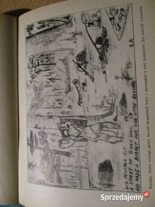 Leśna Gazeta WBianki 1953 gazeta edukacja Łódź sprzedam