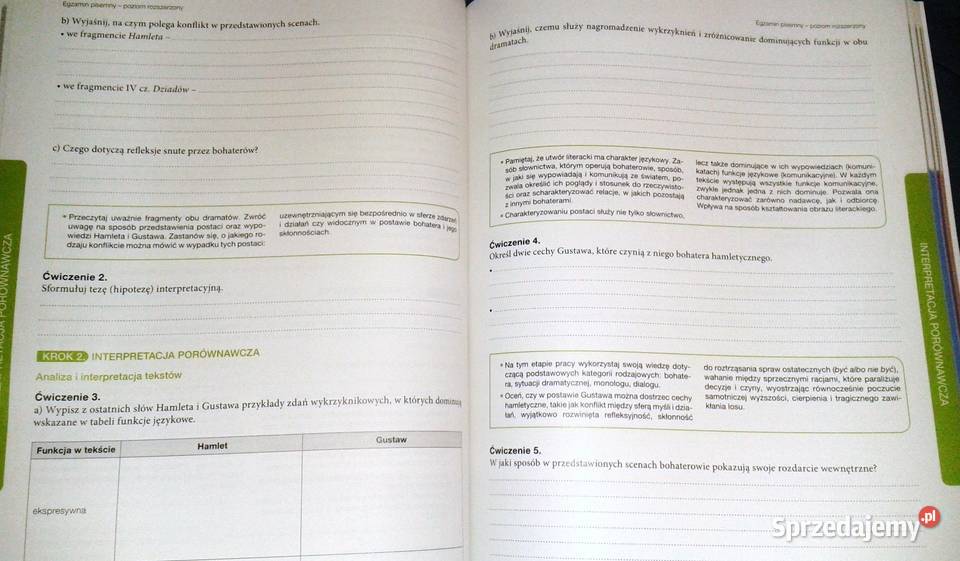 Język polski Teraz matura Zadania i arkusze M Chełm