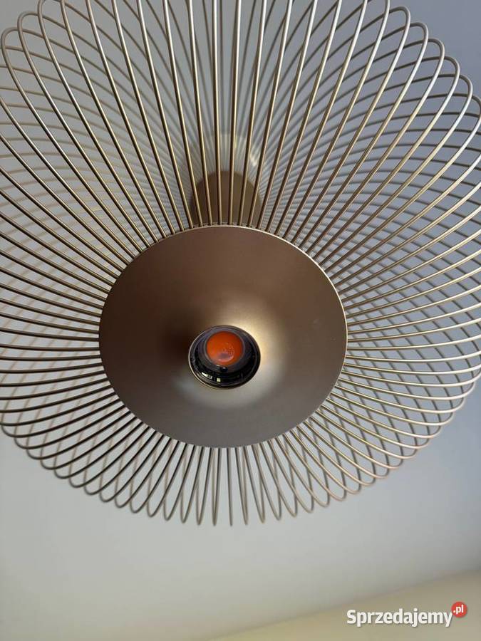 Lampa wisząca sufitowa 52 FOSCARINI SPOKES 2 śląskie Dąbie