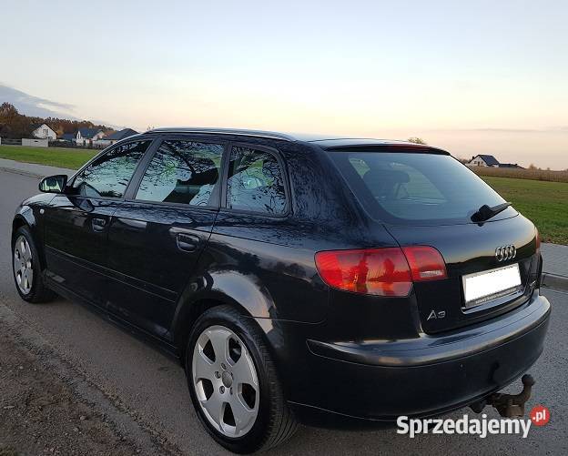 Audi A3 8P Sportback 19TDI 105 diesel Siedlce