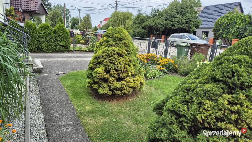 Dom jednorodzinny piętrowy z działką w spokojnej wolnostojący Dębno