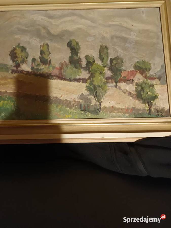 Zabudowy wiejskie wśród drzew w otoczeniu Bielsko-Biała sprzedam