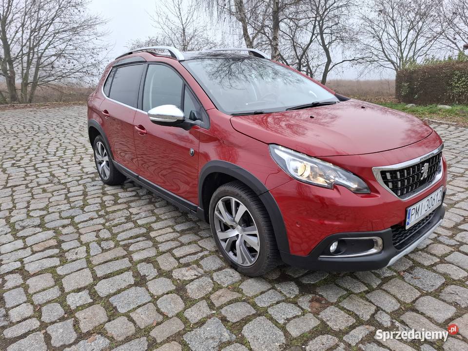Peugeot 2008 15bluehdi światła do jazdy dziennej Kwilcz