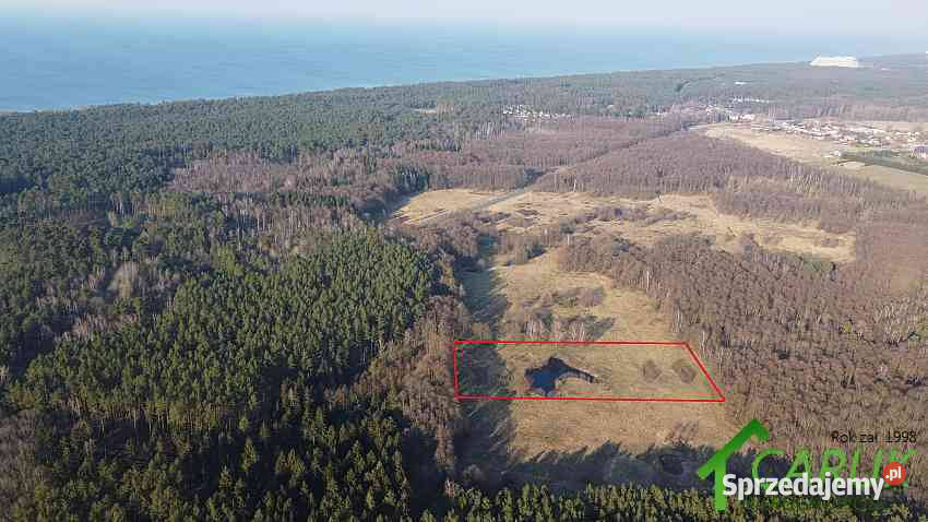 Grunt 10000m2 Łukęcin