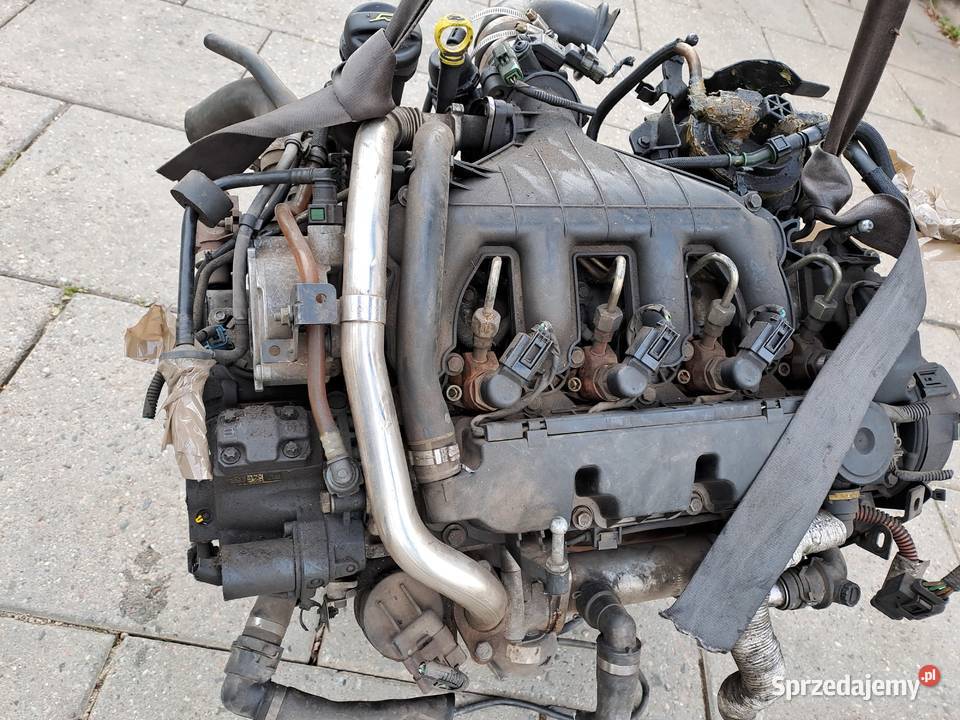 Ford Fokus C Kuga 20 TDCi silnik kompletny G6DA Jastrzębie-Zdrój