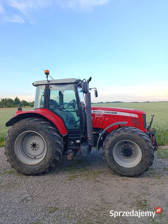 Massey Ferguson Dyna 6 Hrubieszów