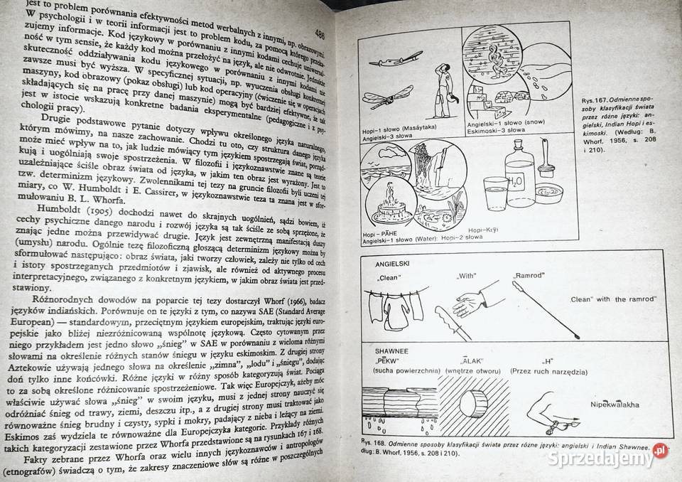 Psychologia Tadeusz Tomaszewski Rok wydania 1982 Chełm sprzedam