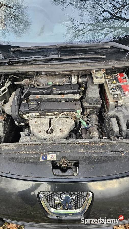 Peugeot 307 14 16v Sątopy
