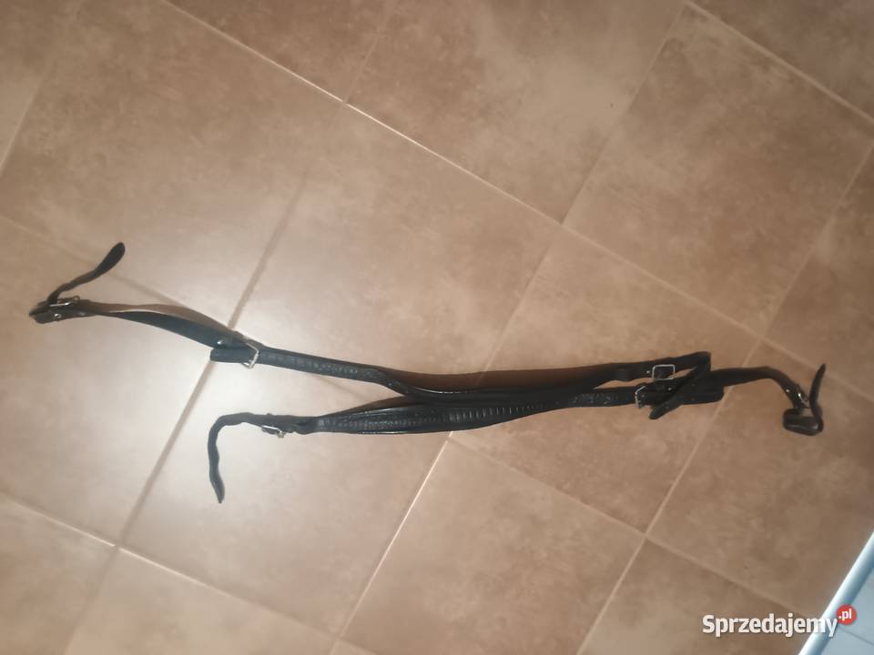 Akordenon Pasy nosne Nowa Dęba