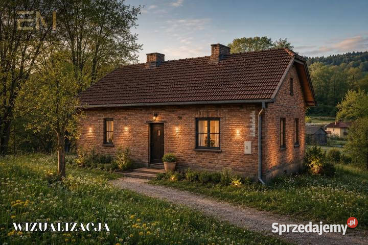 sprzedaży domu wolnostojącego Niepla 90m2