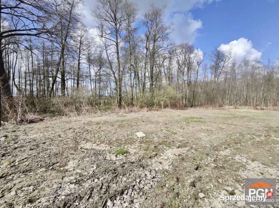 Do sprzedaży działka Wolin Boczna 6470m2 41zł/m2 sprzedam