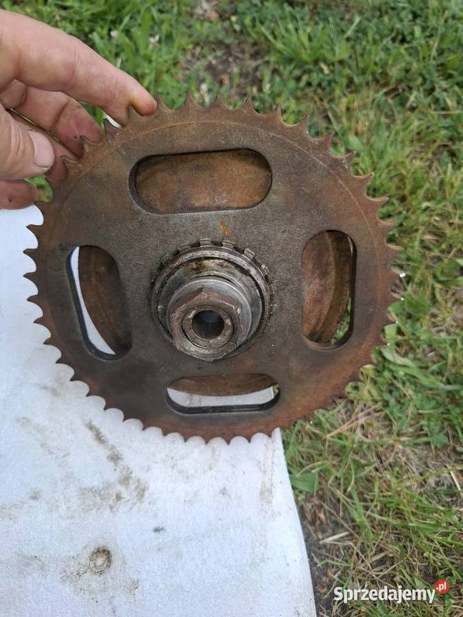 Jawa 175 zabieraki tylnego koła 100 Włoszczowa