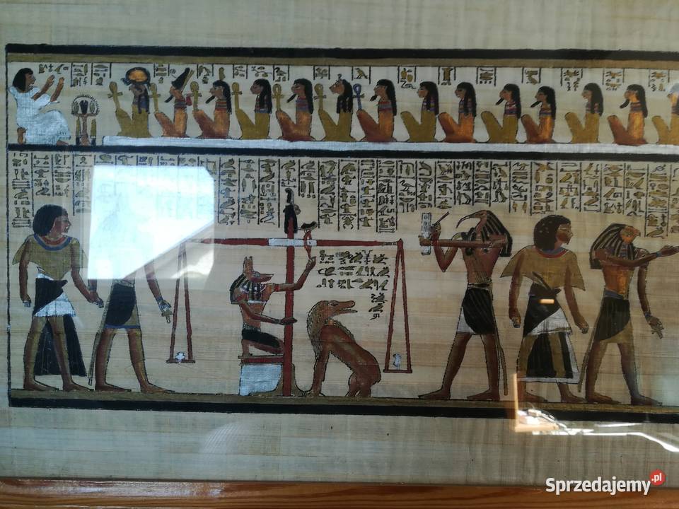 Obrazy Oprawione papirusy Stargard sprzedam