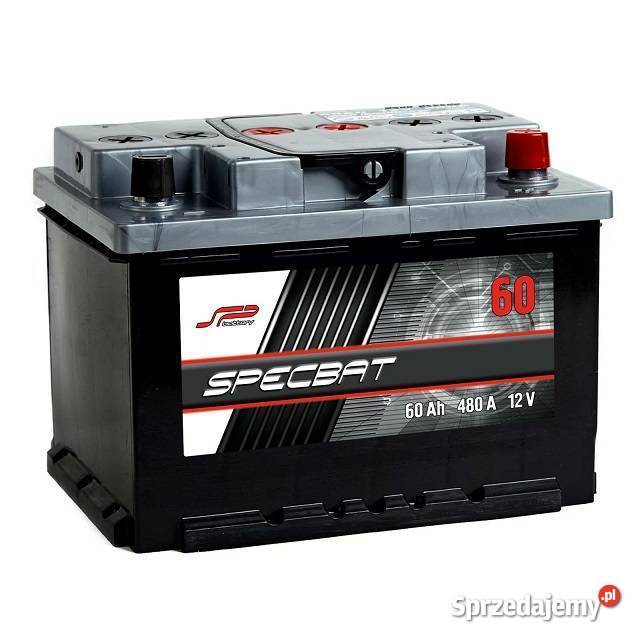 Akumulator Specbat 12v 60Ah520A akumulatory Bydgoszcz