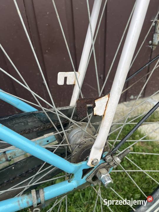 Niebieski rower Alpina lubelskie Radecznica