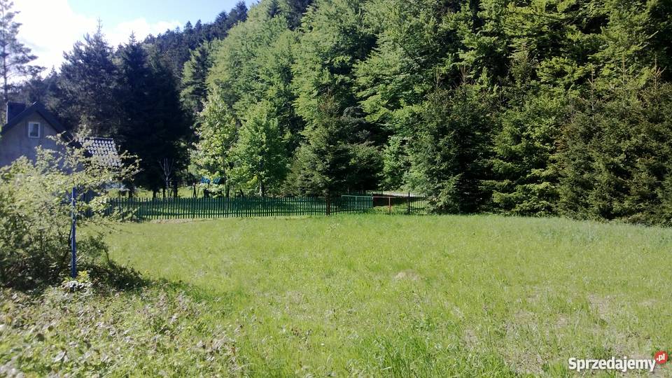 POLANY K KRYNICY OKOŁO 20 ARÓW 000m Nowy Sącz