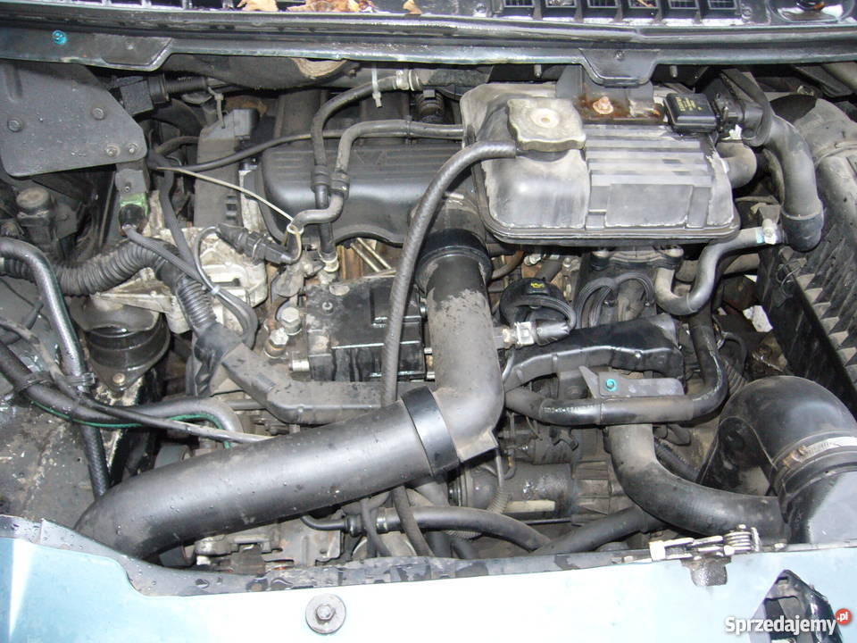 Fiat Ulysse 21TD zielony Gdańsk