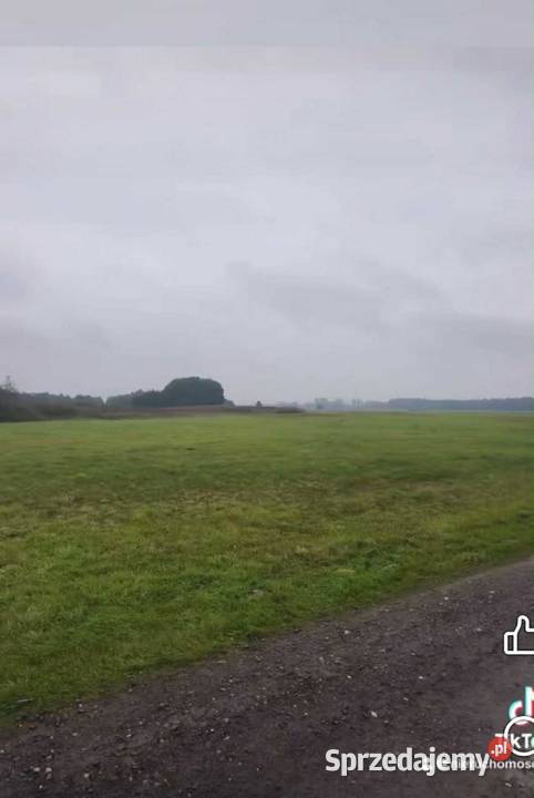 Dwie łąki na sprzedaż Lądek