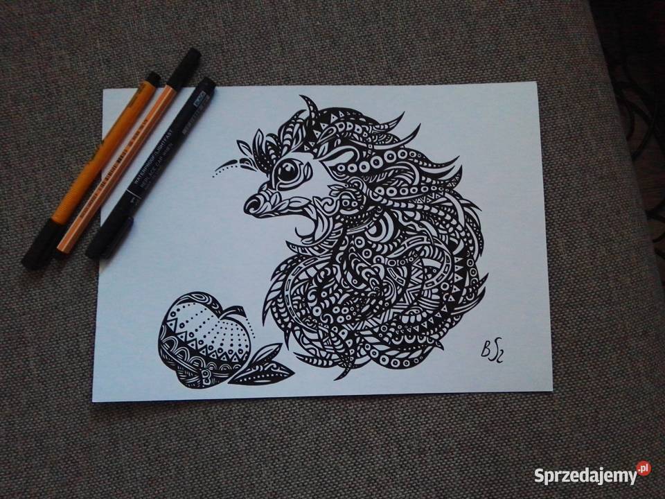 Rysunek jeż 2 cienkopis A4 250gm2 Malarstwo Warszawa