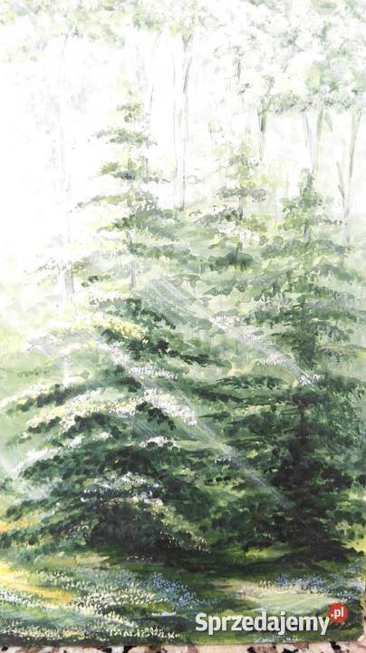 Obraz ręcznie malowany Poranek w lesie Łódź sprzedam