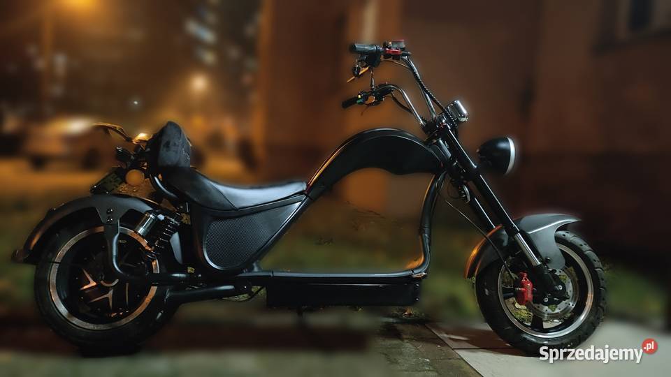 Mademoto Cobra Szczecin