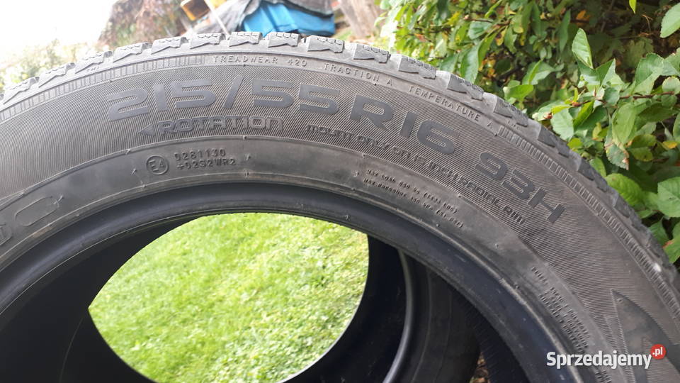 Opony zimowe Nokian WR D4 2155516 2