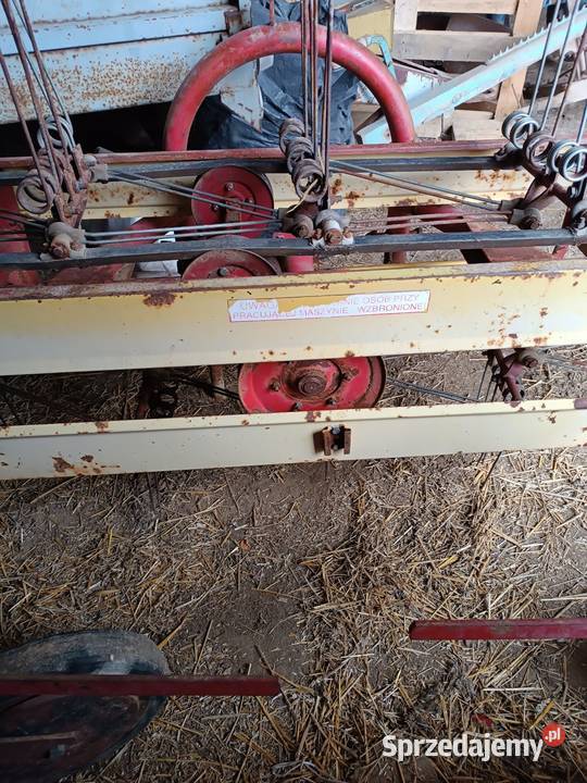 Przewracarka taśmowa na trzy rzędy Wielmoża