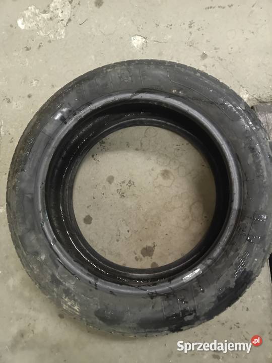 2055516 kleber dynaxer hp4 205 sprzedam