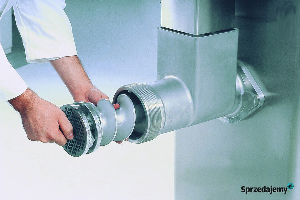 Wilk do mięsa Talsa Wieluń