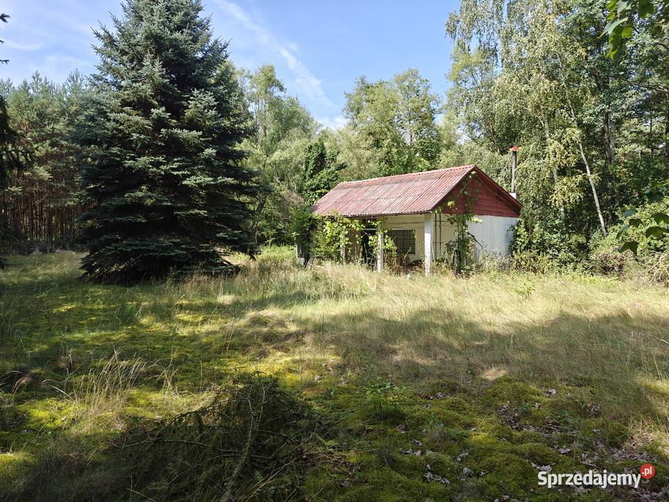 DZIAŁKA REKREACYJNA 1900 m BEŁCHATÓW z domkiem Bełchatów sprzedam