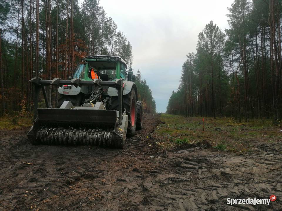 Karczowanie zakrzaczeń Oczyszczanie Konstancin-Jeziorna