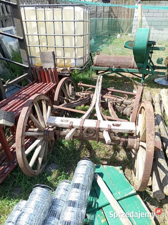 Żelaźniak nieuszkodzony Krasnystaw