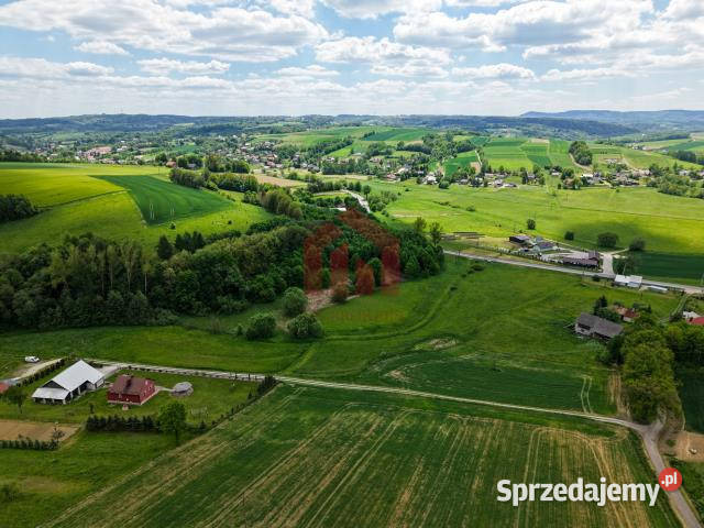 Działka 1000m2 Wielopole Skrzyńskie Sprzedaż