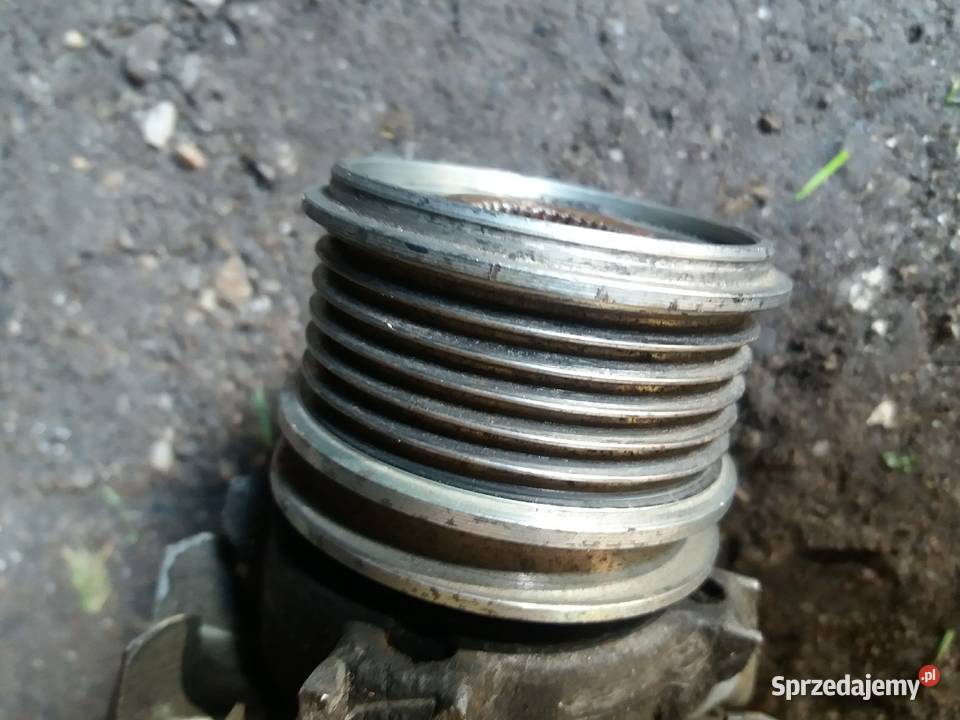 rolka kółko alternatora Laguna ll Lubań