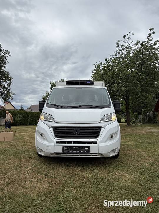 Fiat Ducato 23 chłodnia 2017 Stalowa Wola
