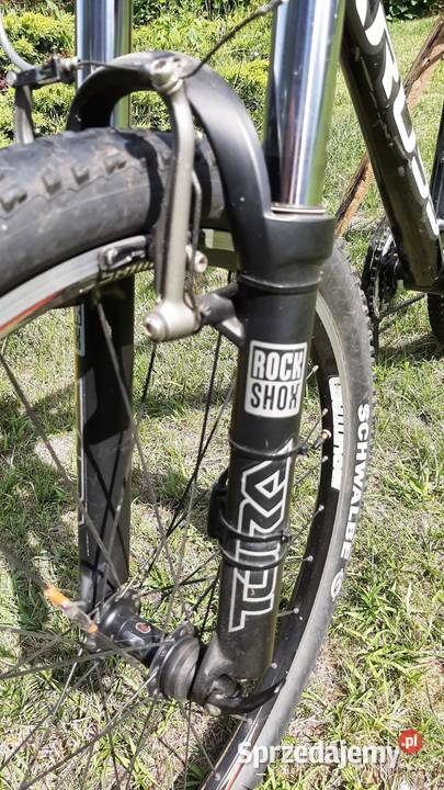 Kross A6 19 Spychowo