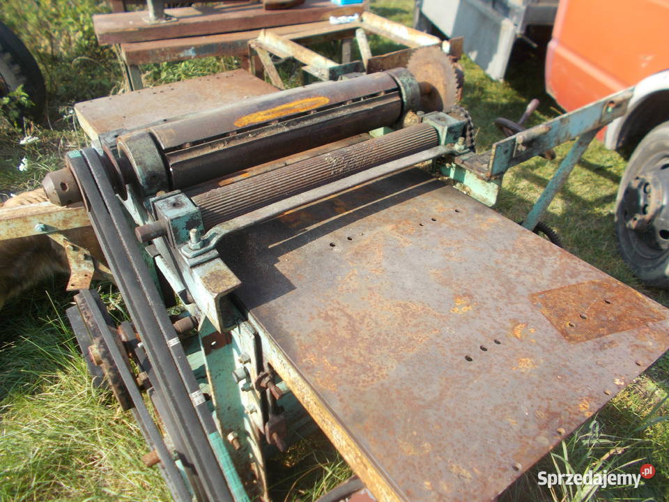 Grubościówka Syców sprzedam