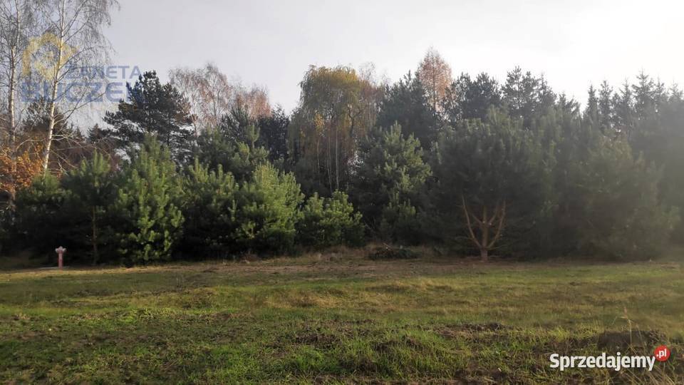 Sprzedam działki budowlanousługowe w Lubiejewie Lubiejew