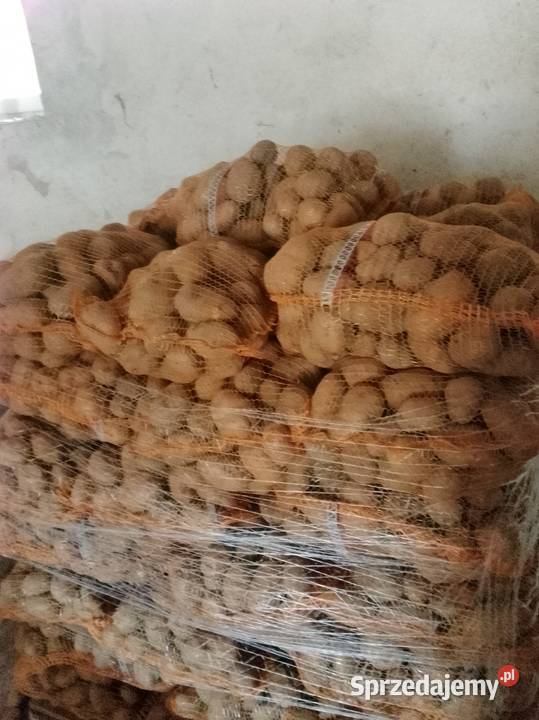 Ziemniaki jadalne Bulkowo-Kolonia sprzedam