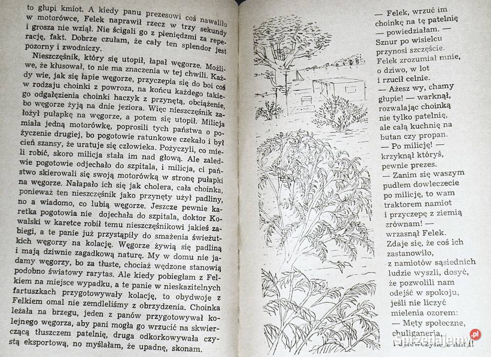 Kołowrotek Halina Snopkiewicz Chełm