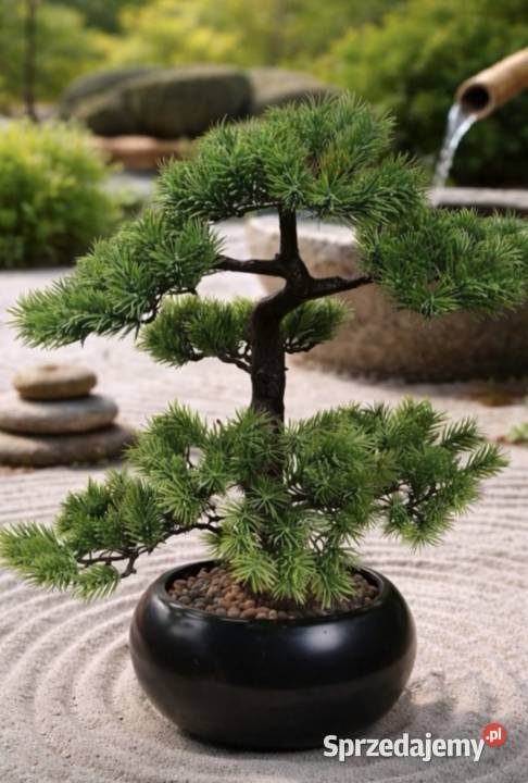 Sztuczny Modrzew Bonsai Larch 60 w ceramicznej Pabianice