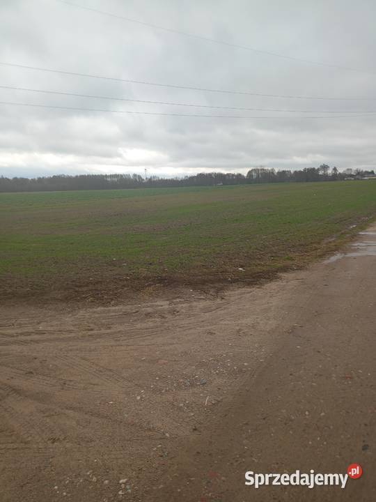 MławaNowa Wieś 036 ha dojazd Mława