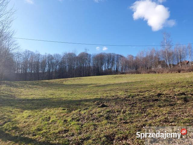 sprzedaży działki 8534m2 Marcówka 98m