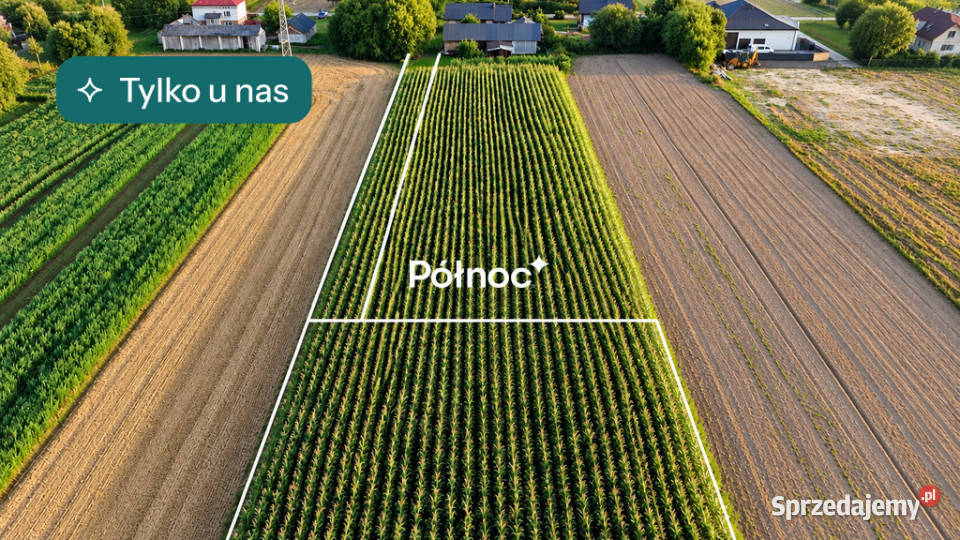 Działka budowlana koło Zamościa lubelskie