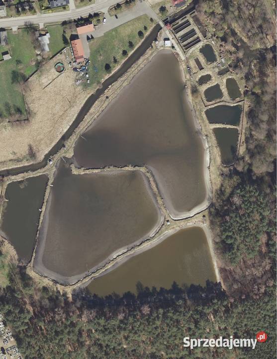 Stawy hodowlane rybne las działka 542 ha Działka Krężnica Jara sprzedam