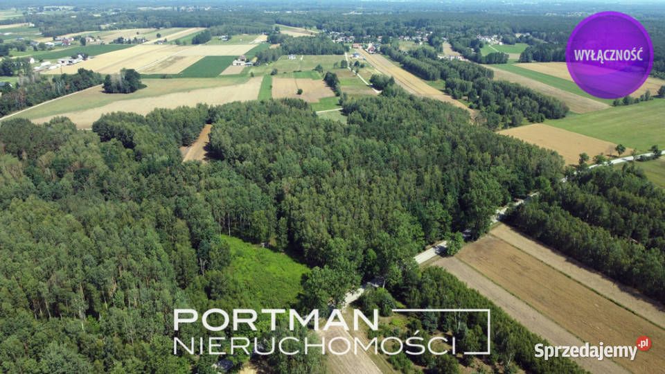 Działka w Dobrzyńcu 15 200 m2