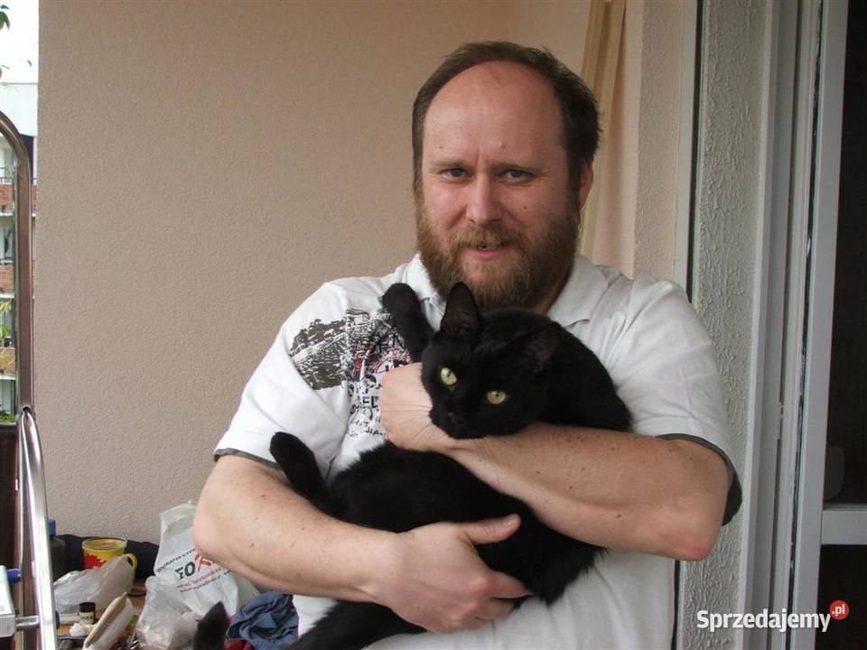 Siatka Kota na Balkon Drzwi i Okna montaż Łódź łódzkie